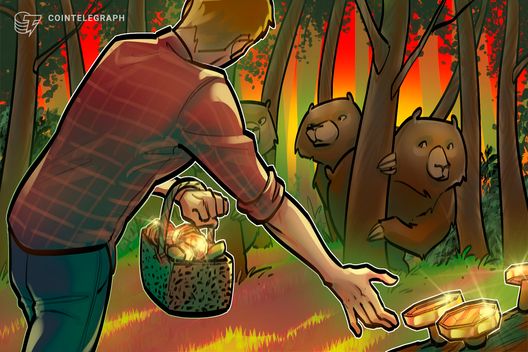 Bitcoin bear market is likely years away: Trump adviser David Bailey